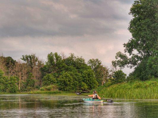 Kayaking with the Niagara Parks Interpretive Programs