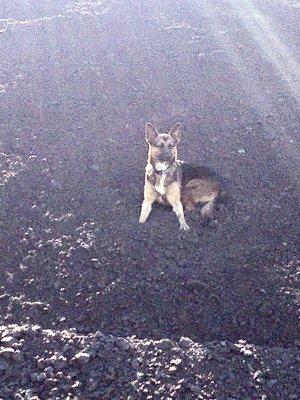 Maggie doing another survey on the south pad to verify tonnage for next vessel