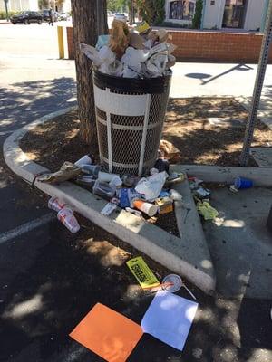 The city parking lot on Sunday 9/13/15... Garbage overflowing and covering the lot. Looked like a third world city.