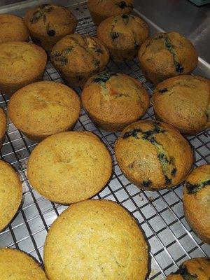 Vegan muffins.   Lemon poppy and blueberry