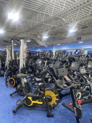 Fitness Showrooms