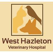 West Hazleton Veterinary Hospital