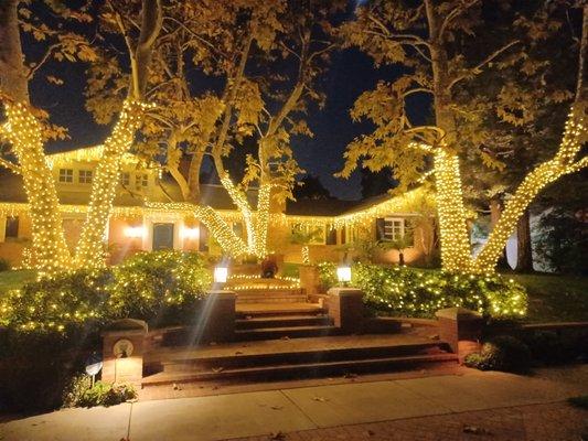 A holiday Lighting in Toluca Lake, with a combination of Led warm white Lights on the roof Icicles, bushes and trees.