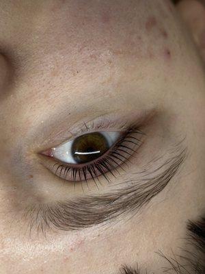 Lash Lift plus Tint- lasts up to 6 weeks