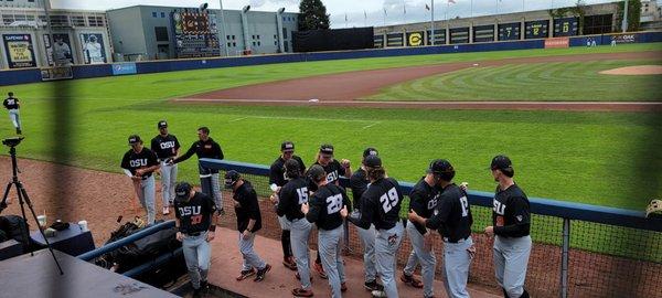 Oregon State Baseball