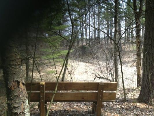 View of the wetlands from one of the benches along the trail