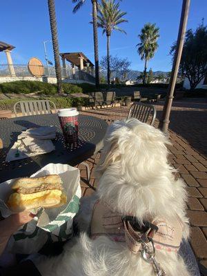 Breakfast sandwich and chai tea