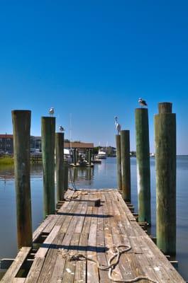 Try fishing or crabbing from our many piers.