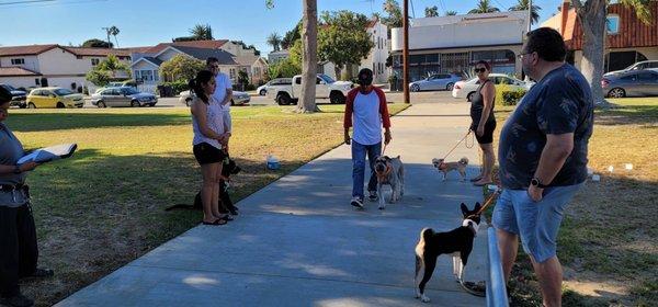 Practicing lose leash walking.