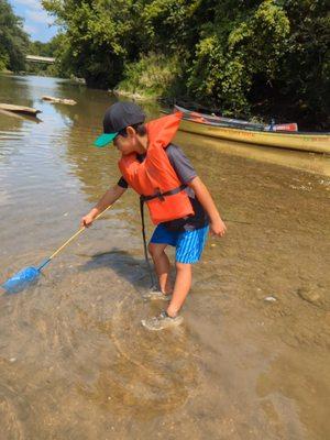 How to catch rock lobsters in the Little Miami