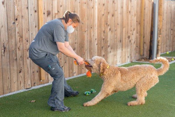 Daycare assistant playing tug.