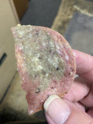 This was the salami from our pizza