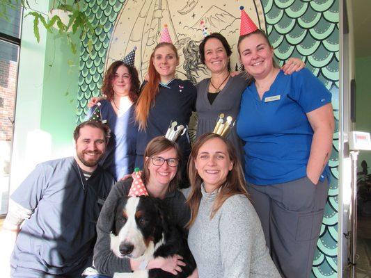 Kenton Animal Hospital celebrating their first birthday.