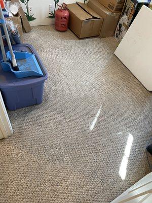 After picture of carpet cleaning!