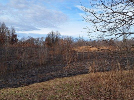 Controlled burn results from the top of park.  Pretty cool