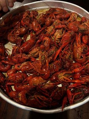 3 lbs of crawfish