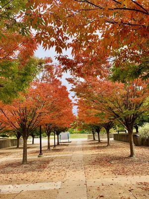 Beautiful walkway