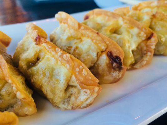 Gyoza Pork (8 pieces) $6.50. #Appetizer came with a side of soy sauce that was not salty. This is soooo delicious - would order again.