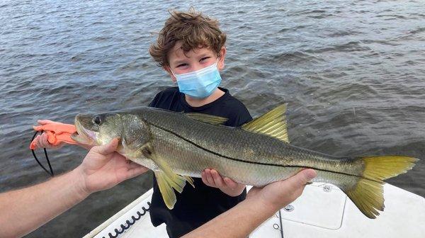 Snook in Bayport, FL