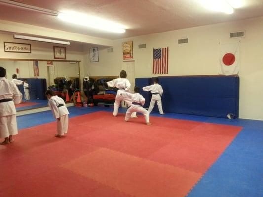 In this photo they are learning Kata.