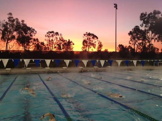 Sunrise at Nova Masters swim practice. What a GREAT way to start the day!