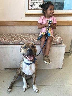 Kallie waiting to get seen at Boulevard Veterinary Hospital with his little human.