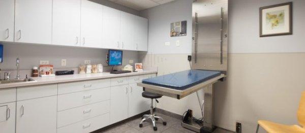 Roscoe Village Animal Hospital Examination Room