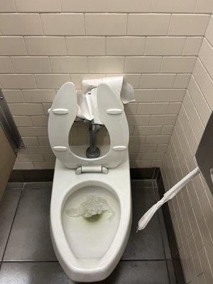 Trashed toilet