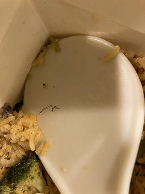 Metal string from scrubber in fried rice