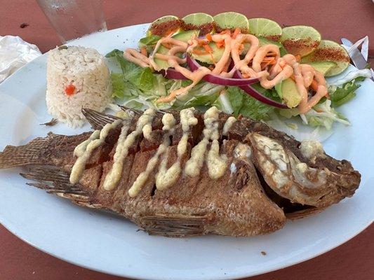 Whole tilapia with garlic sauce