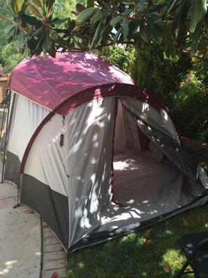 10 man Coleman Tent