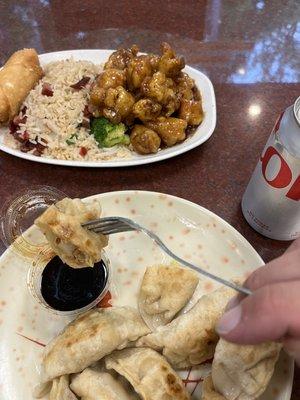 General Tso and pork fried dumplings