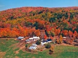 Sugarbush Farm  Maple Syrup & Cheese