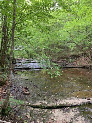 View of the creek near the rope pass.