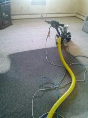 Steam King can get carpets super clean with our patented cleaning system