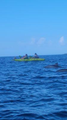 Kayaking to Captain Cook monument