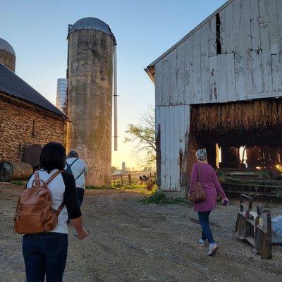 Our close relationships with the locals of Lancaster offer some of the best behind-the-scenes tours of Amish farms! Join a walking tour now!