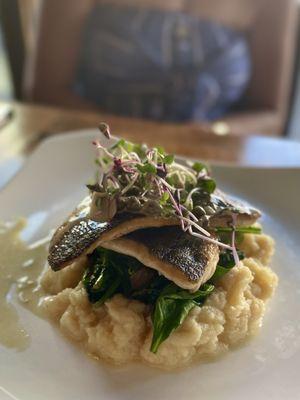 Seared Branzino