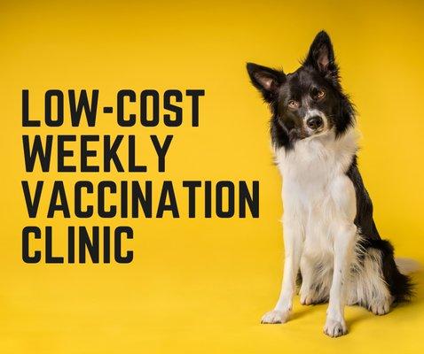 Low Cost Vaccination Clinic For Dogs, Cats, and Ferrets. See the schedule on our website