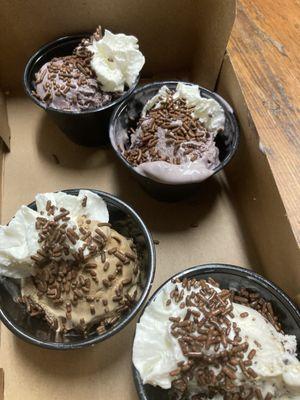 Ice cream flight samples