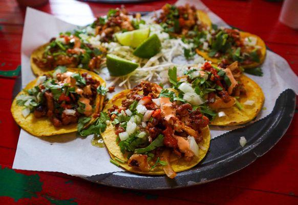 Mini Tacos Campechanos: Al pastor, chorizo and grilled chicken