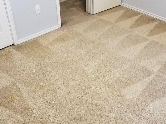 Residential carpet clean