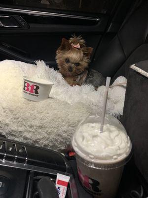 large oreo milkshake & Bella got a pup cup