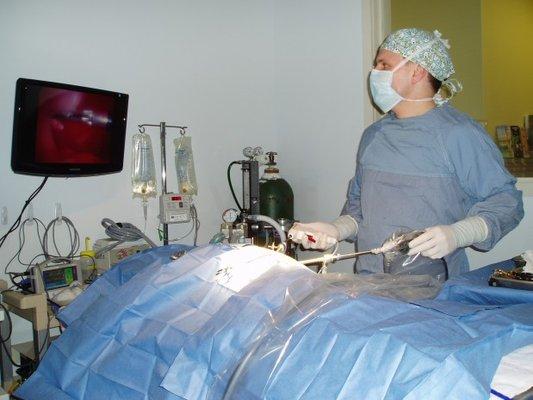 Dr. Brunner performs a laparoscopic ovariectomy.