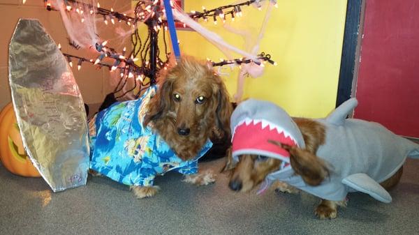 2013 Daycare Halloween costume contest