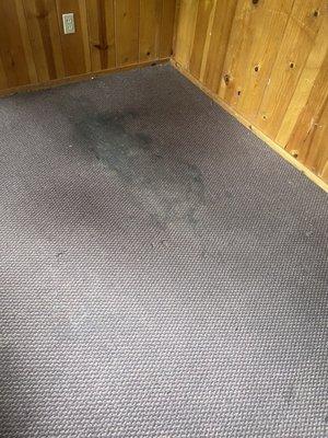 Stains on bedroom carpet my sister had to hide with her bed