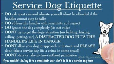 Service dog etiquette card