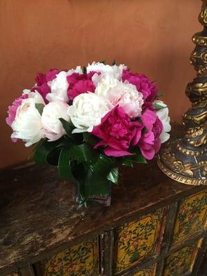 Peonies Festival !    ...Available now from local Peony farm at great prices !!