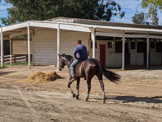 Riding the big colt Renegade to our barn