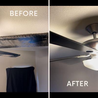 Removal of dust and dog hair off ceiling fan